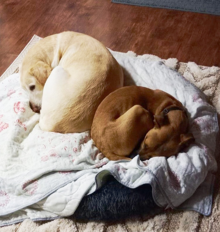 Cooper and Henry