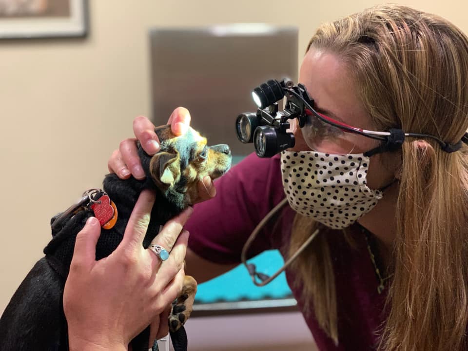 Haley - Ophtho Exam