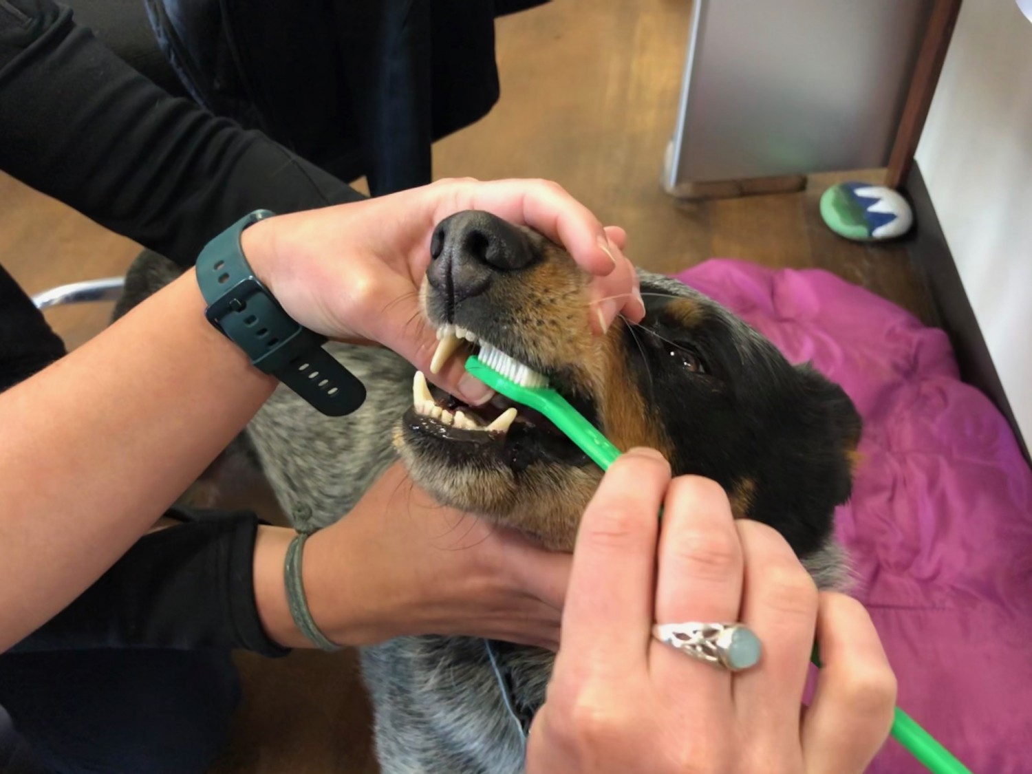Brushing Teeth